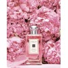 Women's Perfume _ Nordstrom - 香水 - 