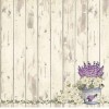 Wood and lavender - 北京 - 
