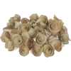 Wood  roses - Items - 