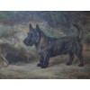 Wright Barker Jamey Scottie dog 1909 - Illustrations - 