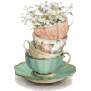 Tea cups - Illustraciones - 