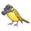 Yellow Bird - Animals - 