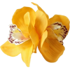 Yellow Flower - チャーム - 