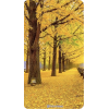Yellow Trees - Natureza - 