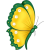 Yellow and Green Butterfly - Uncategorized - 