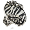 Zebra - Animals - 