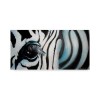 Zebra - Texte - 