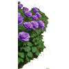 Интерьер - Мои фотографии - 