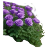 Интерьер - Мои фотографии - 