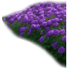 Интерьер - Мои фотографии - 