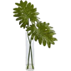 растения - Plantas - 