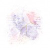 фон - Figure - 