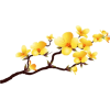 цветы - Plants - 