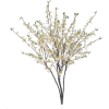 цветы - Plants - 
