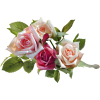 цветы - Biljke - 