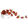цветы - 植物 - 