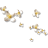 цветы - Biljke - 