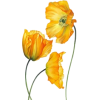 растения - Plants - 