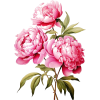 растения - Plants - 