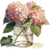 растения - Plants - 
