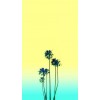 palm - Background - 