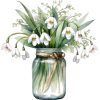 цветы - Plantas - 