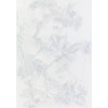 фон - Background - 