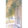 ... - Pozadine - 