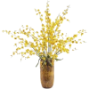 цветы - Plantas - 