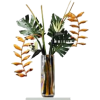 растения - Plantas - 