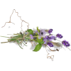 цветы - Plants - 