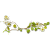 цветы - Pflanzen - 