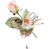 цветы - Biljke - 