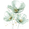 цветы - Plantas - 