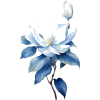 цветы - Biljke - 