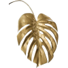 растения - Plantas - 