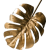 растения - Plantas - 