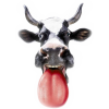 Cow - 插图 - 