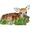 bambi - Ilustracije - 