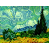 Gogh - Mis fotografías - 