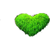 green heart grass - Rastline - 
