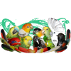 parrots - Predmeti - 