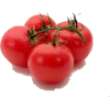 Tomatoes - Alimentações - 