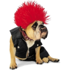 punk - Tiere - 