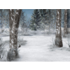 winter - Minhas fotos - 