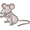 miš - 動物 - 