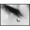 tears - Fundos - 