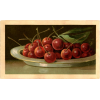 antique cherry illustation - イラスト - 