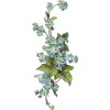 antique forget me nots illustration - Rastline - 