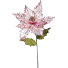 a poinsettia flower - Plantas - 